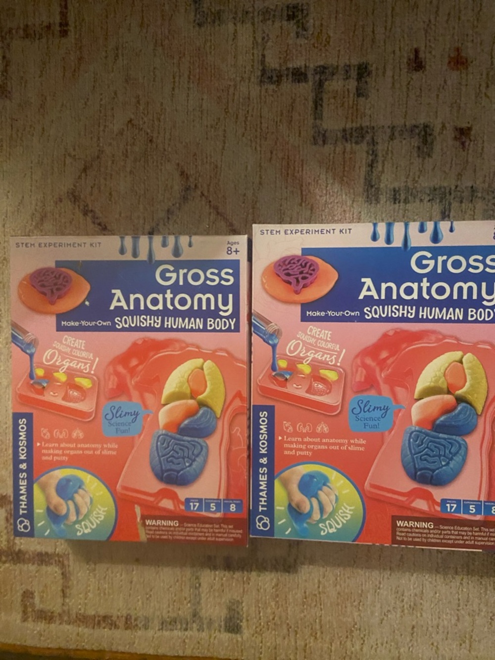 Thames & Kosmos Gross Anatomy Kit - Pink & Blue
